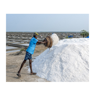 Sea Salt